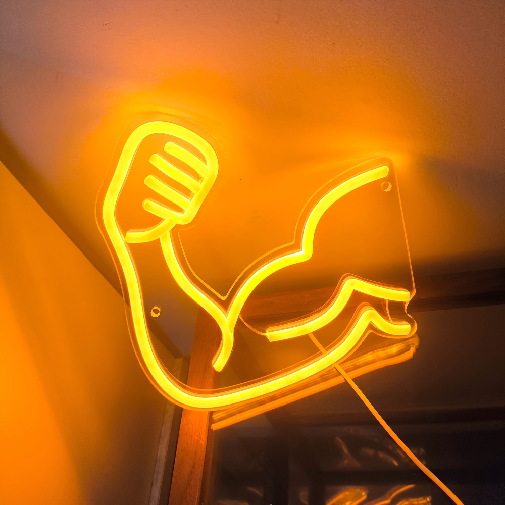 Fitness Motivation Light - Mus - Home Gym Multi Station 评论和价格