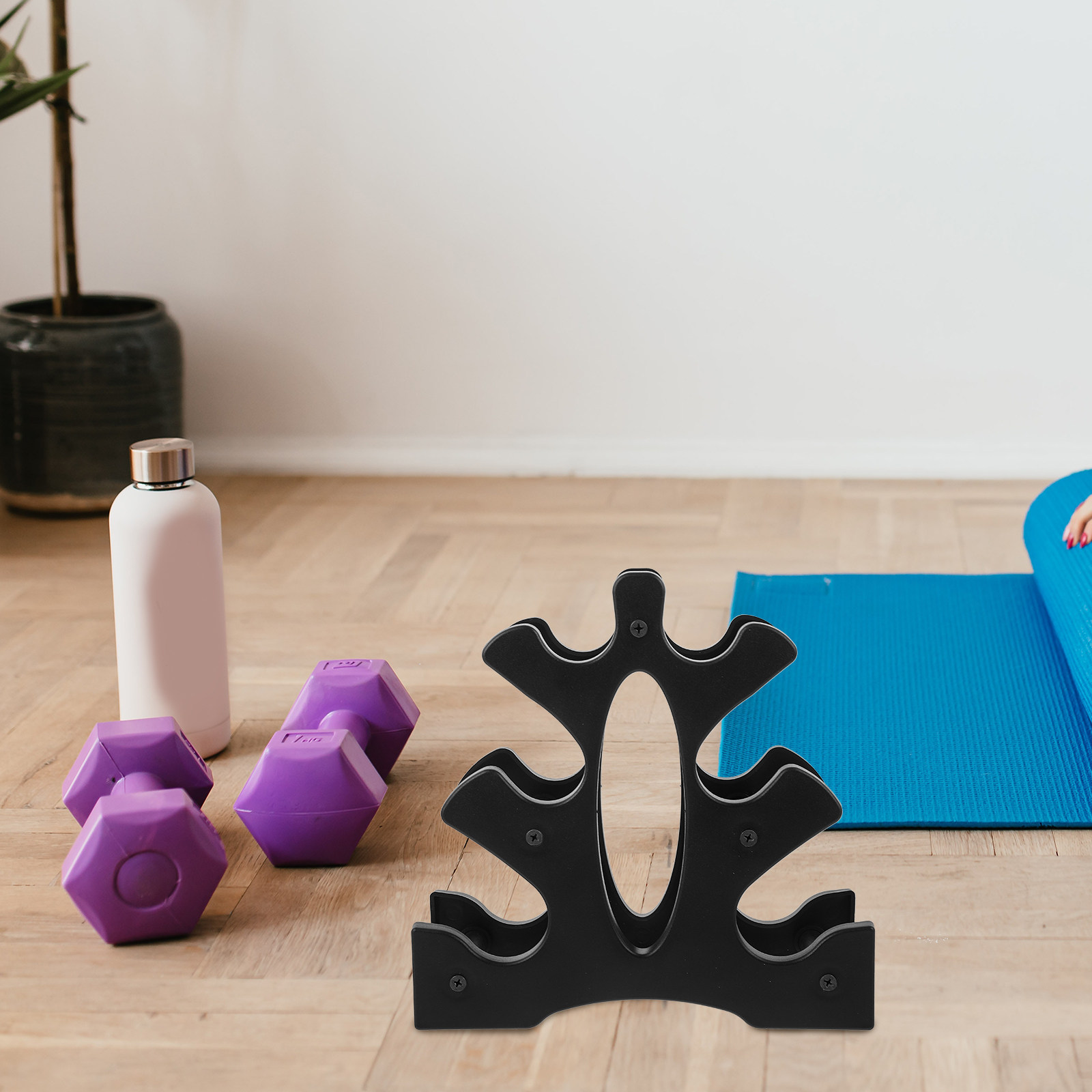 2Pcs PP Dumbbell Rack for Home - Home Gym Floor 评论和价格